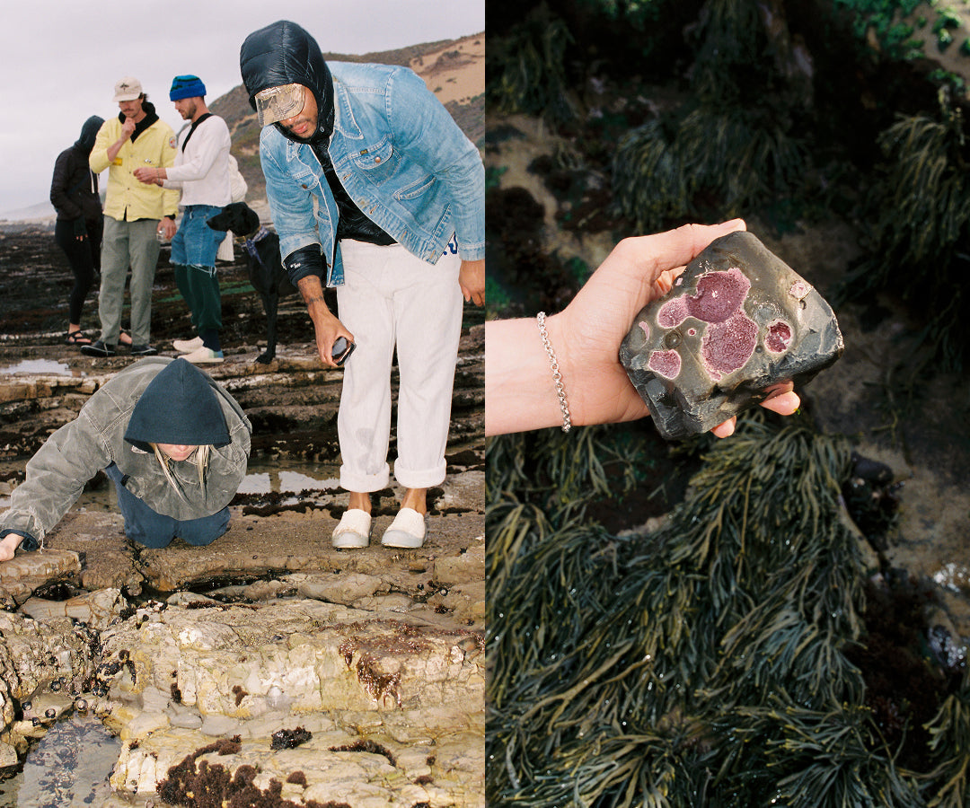 USAL Tidepools Research Camp