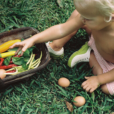 Child gathering vegetables
