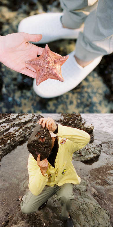 Exploring tidepools in Native Shoes the Miles
