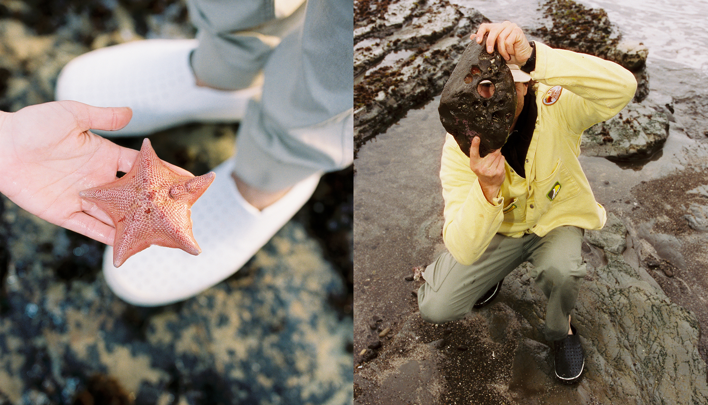 Exploring tidepools in Native Shoes the Miles