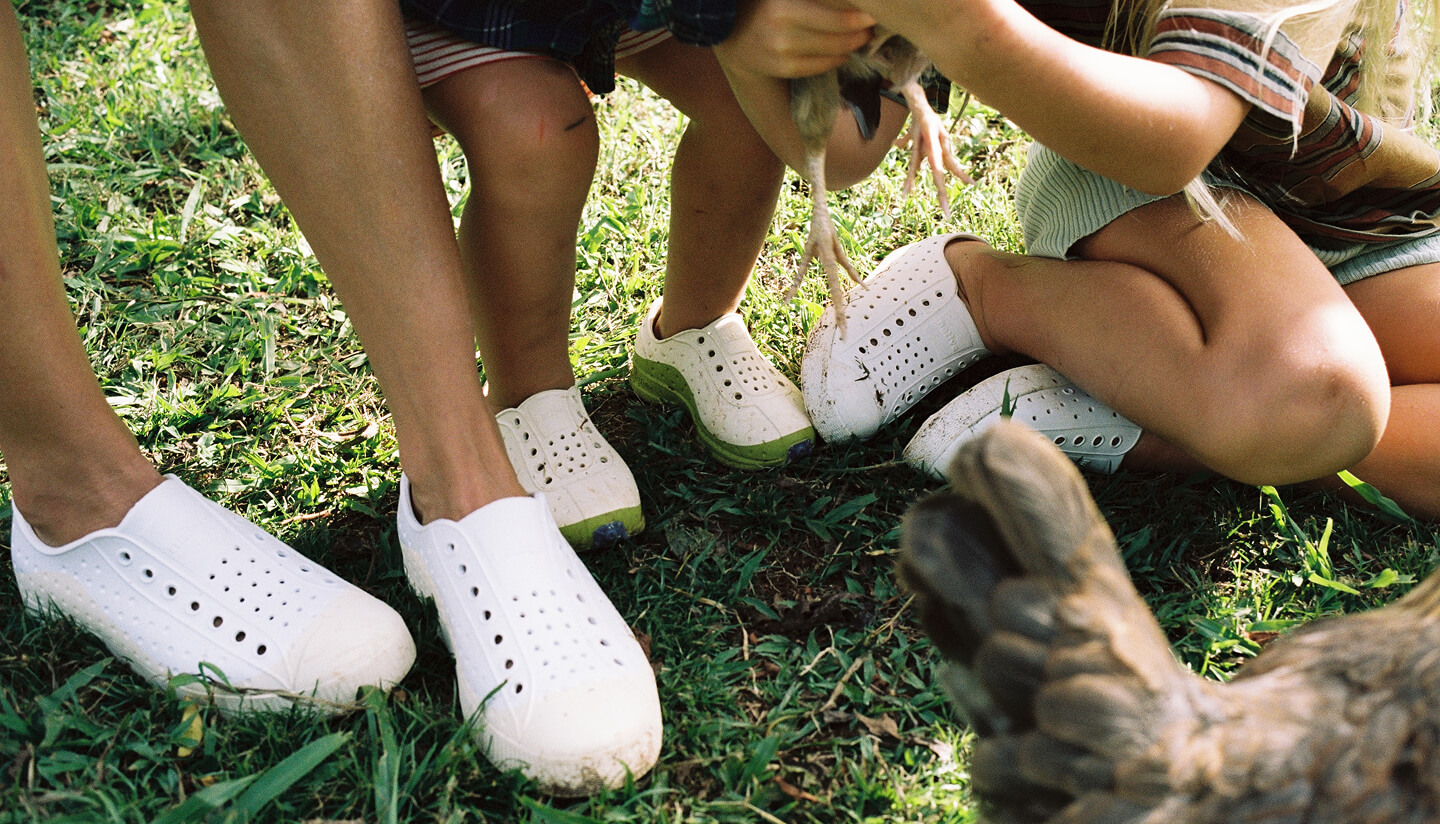 Family playing with their chickens