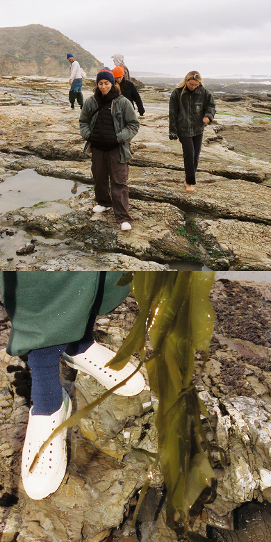 Exploring tidepools in Native Shoes the Jefferson Bloom