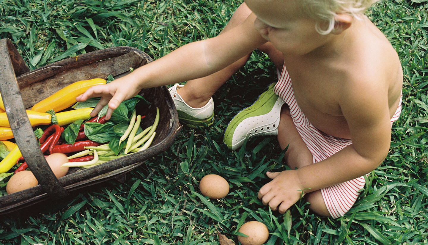 Child gathering vegetables