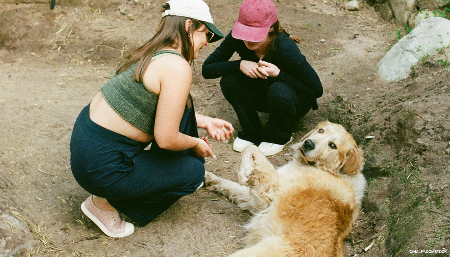 Petting dogs with Native Shoes Jefferson