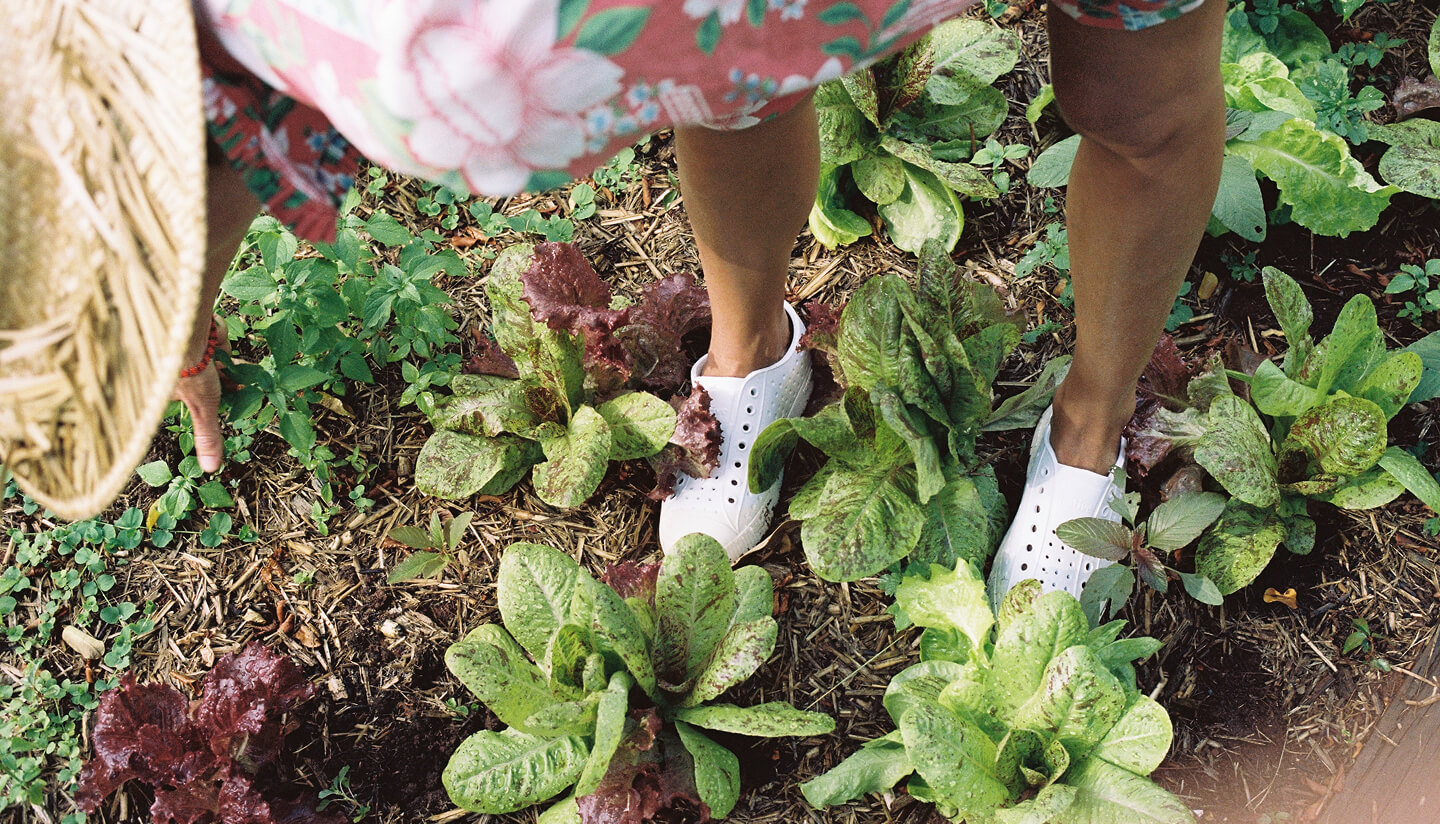 Jeffersons in the garden